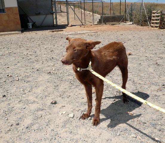 multimedia-foto37645-974-3