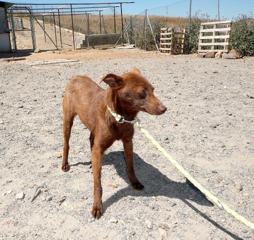 multimedia-foto37646-176-3