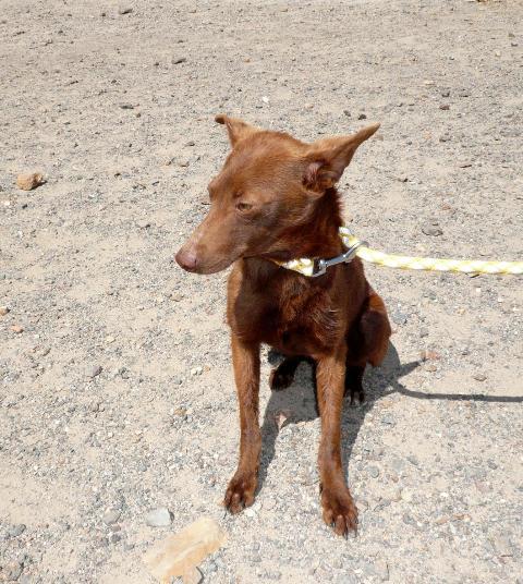 multimedia-foto37647-355-3