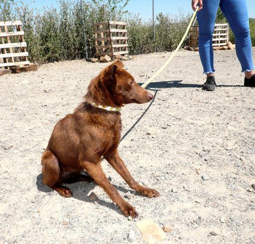 multimedia-foto37648-519-3