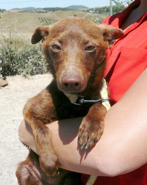 multimedia-foto37649-659-3