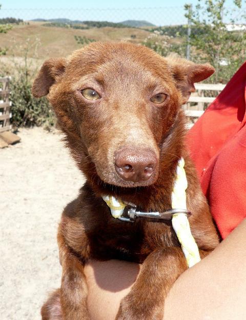 multimedia-foto37650-779-3