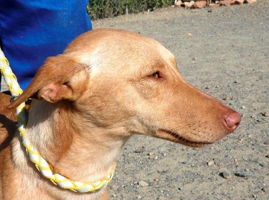 multimedia-foto37651-327-3