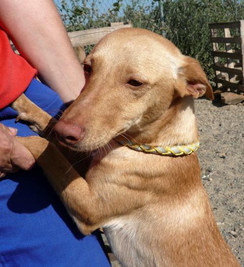 multimedia-foto37652-553-3