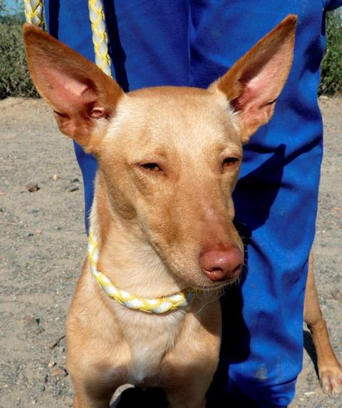 multimedia-foto37653-773-3