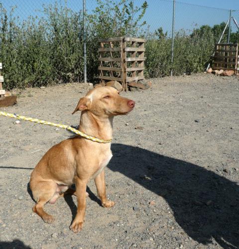 multimedia-foto37655-183-3