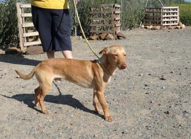 multimedia-foto37656-363-3