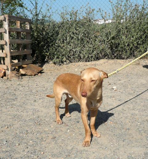 multimedia-foto37657-524-3