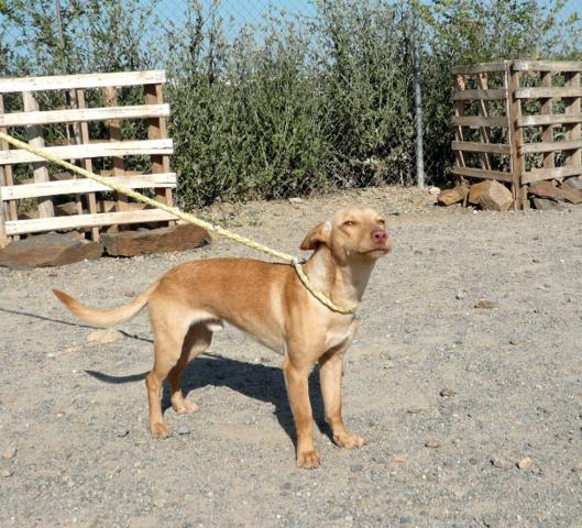 multimedia-foto37658-664-3