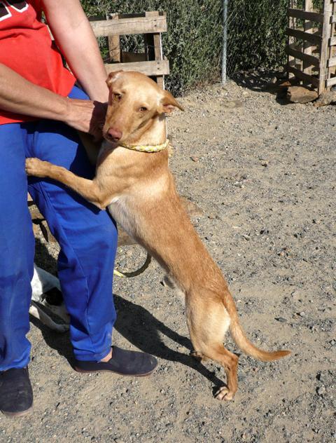 multimedia-foto37659-783-3