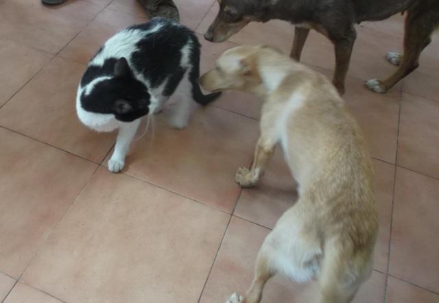 multimedia-foto37660-875-3