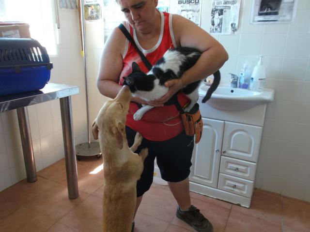 multimedia-foto37661-925-3