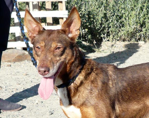 multimedia-foto37669-344-3