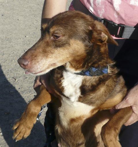 multimedia-foto37670-569-3