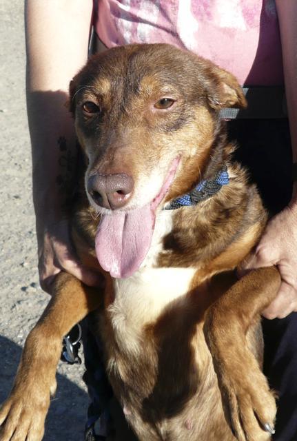 multimedia-foto37671-793-3