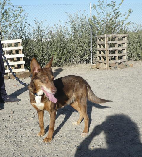 multimedia-foto37672-1-3