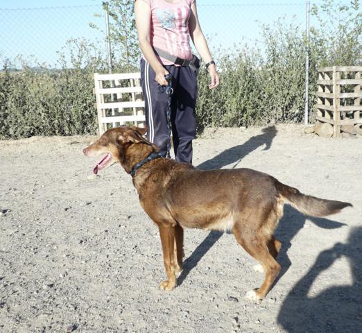 multimedia-foto37673-196-3