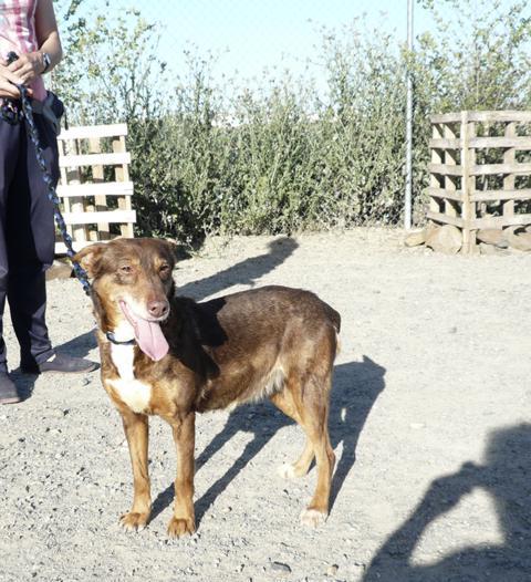 multimedia-foto37674-374-3