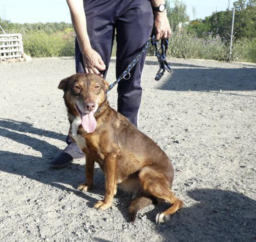 multimedia-foto37675-534-3