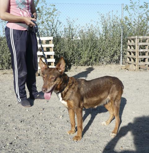 multimedia-foto37676-672-3