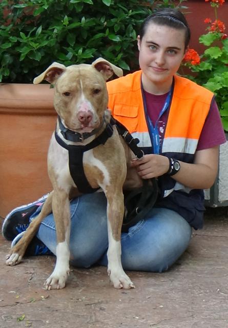 multimedia-foto37679-578-3