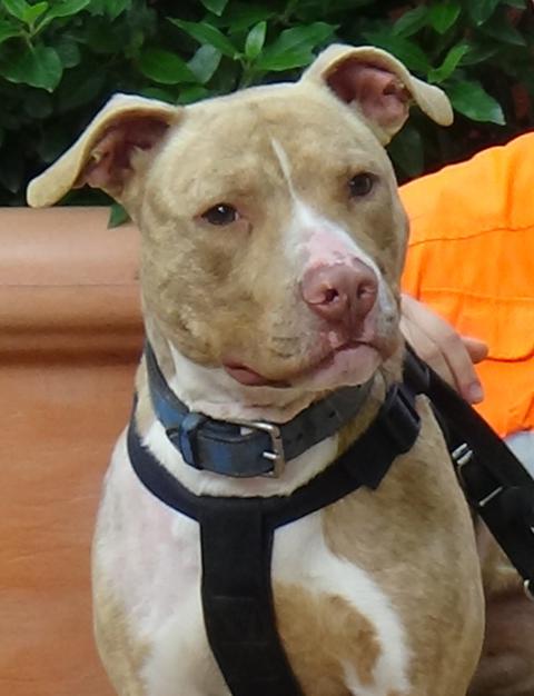 multimedia-foto37680-801-3