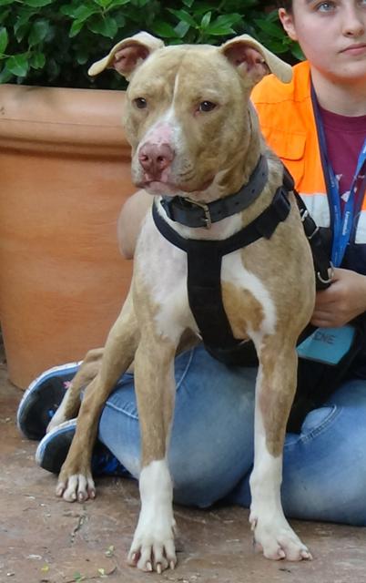 multimedia-foto37681-9-3