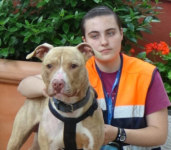 multimedia-foto37682-204-3