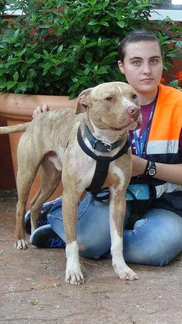 multimedia-foto37683-381-3