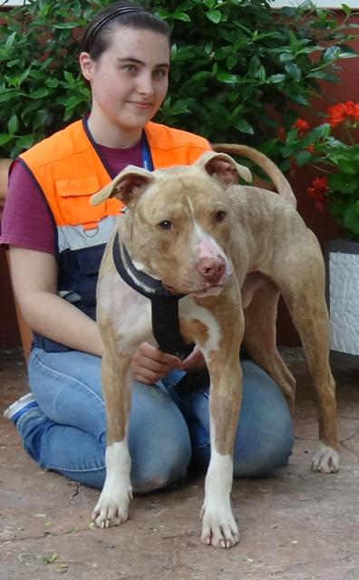 multimedia-foto37684-540-3