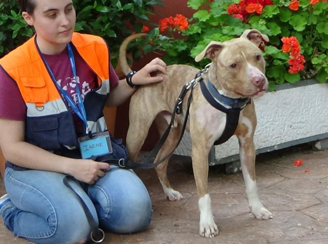 multimedia-foto37685-677-3