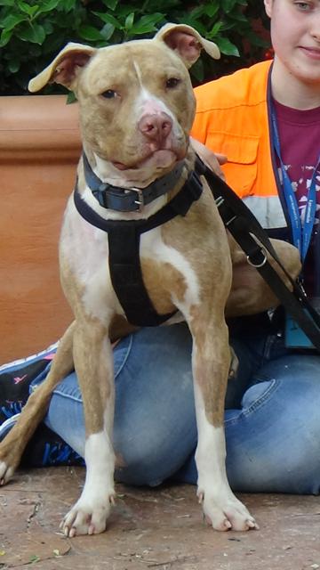 multimedia-foto37686-794-3