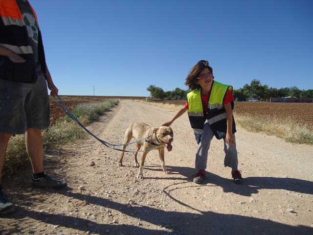 multimedia-foto37687-880-3