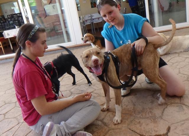 multimedia-foto37688-930-3