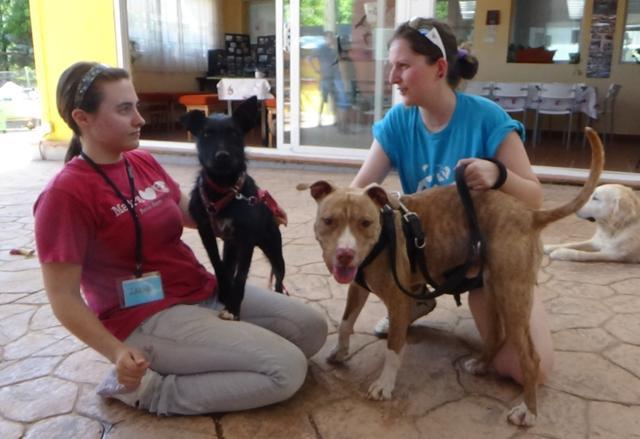 multimedia-foto37689-974-3