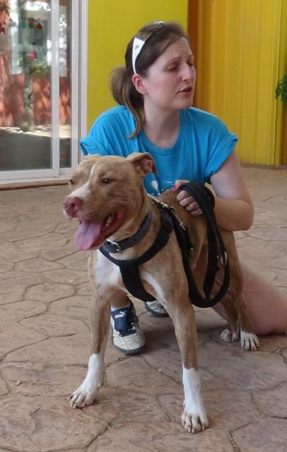 multimedia-foto37690-12-3