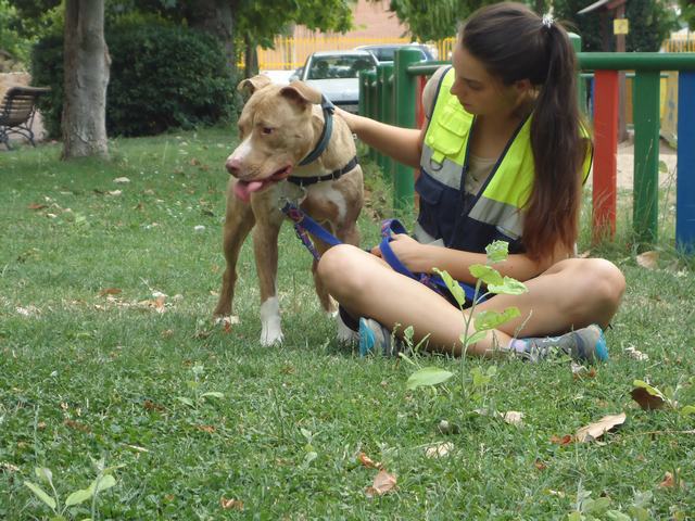 multimedia-foto37694-113-3