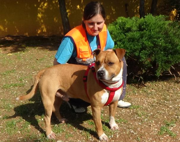 multimedia-foto37715-387-3