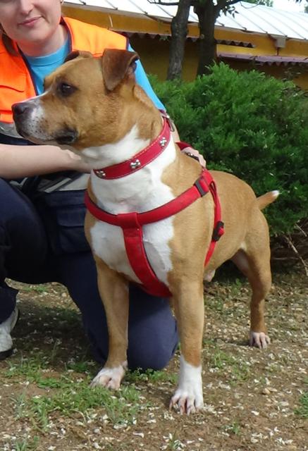 multimedia-foto37716-612-3