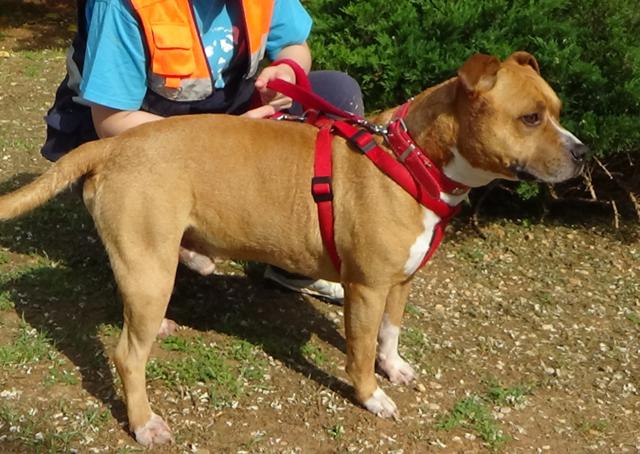 multimedia-foto37717-830-3