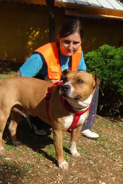 multimedia-foto37718-35-3