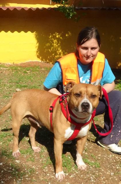 multimedia-foto37719-231-3