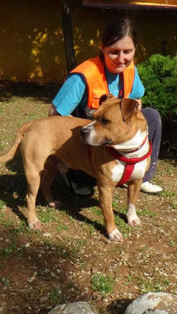 multimedia-foto37720-405-3