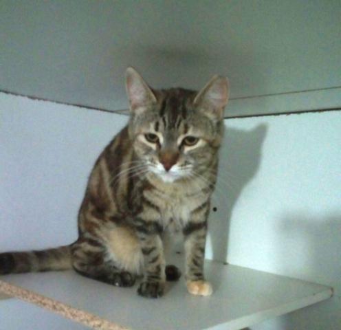 multimedia-foto37725-836-3