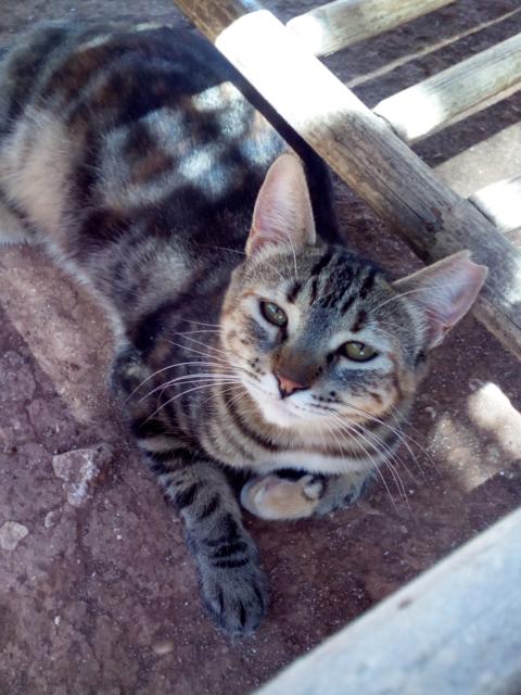 multimedia-foto37729-564-3