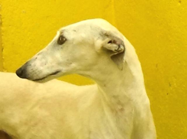 multimedia-foto37730-400-3