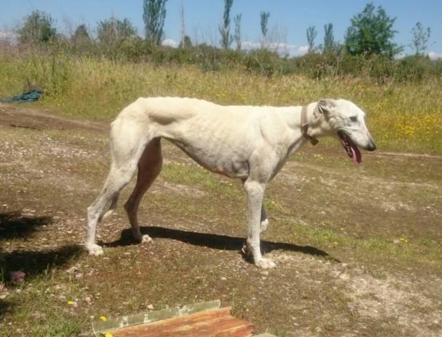 multimedia-foto37731-625-3