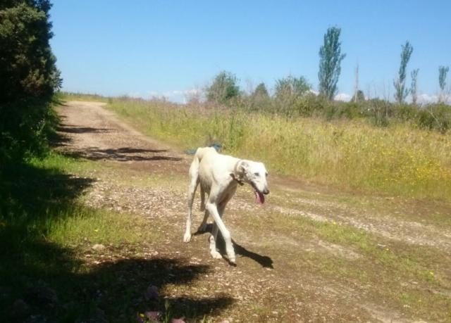 multimedia-foto37732-842-3