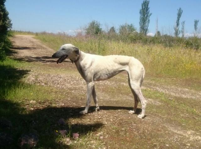 multimedia-foto37733-47-3