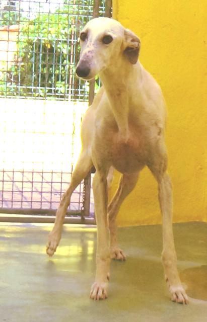 multimedia-foto37734-243-3